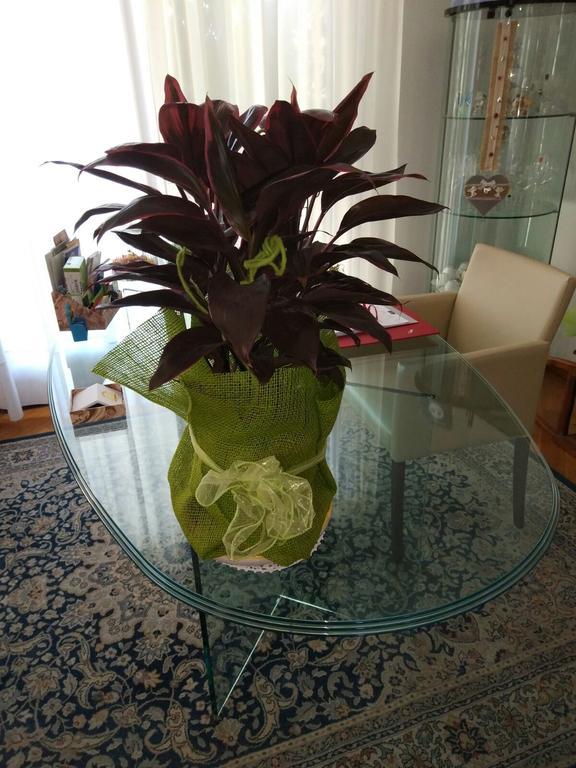 Marinella B&B Cornale Екстер'єр фото